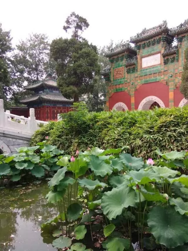 八月份去北京旅游(八月份去北京旅游团价格)