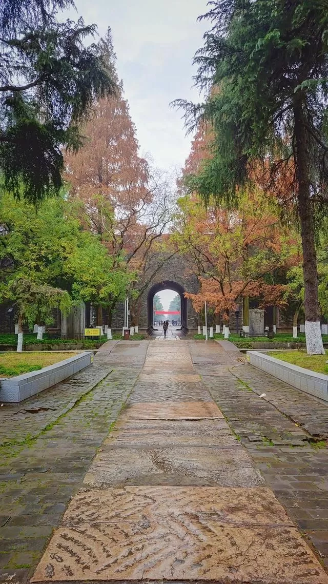 南京名胜景点(南京名胜景点有哪些)