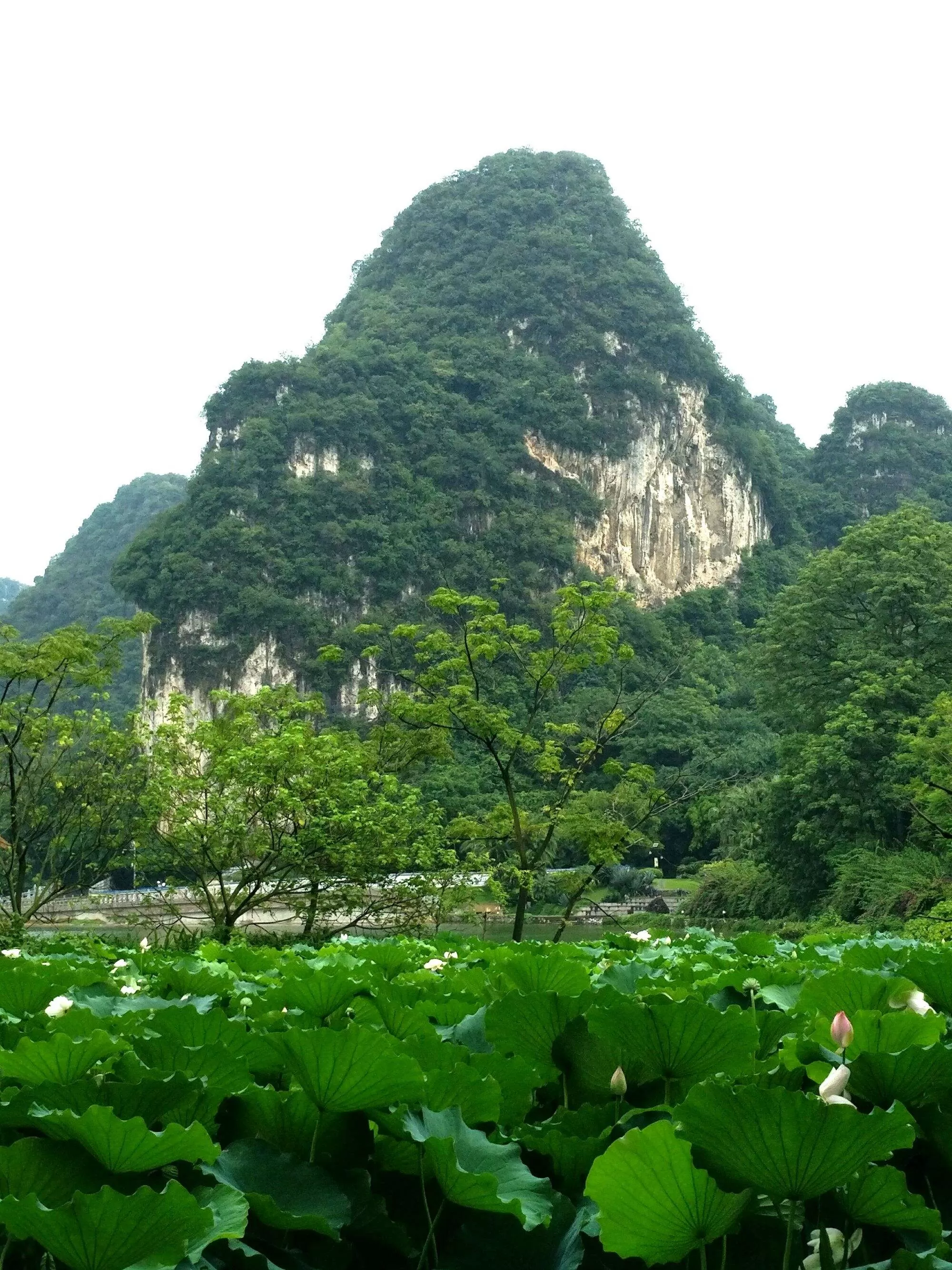 柳州一日游攻略必去景点(柳州一日游旅游攻略必玩的景点)