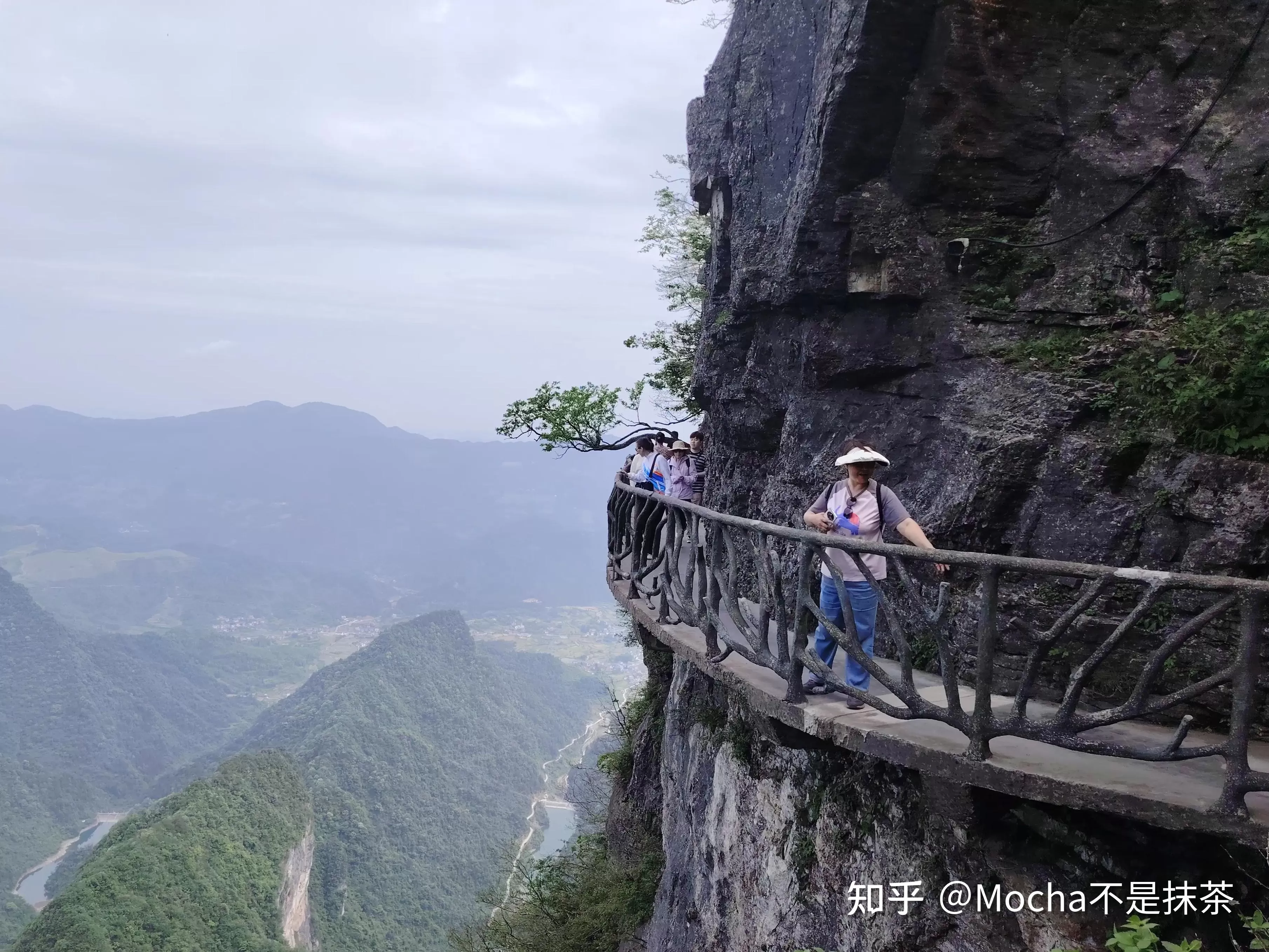 关于张家界天门山的特点是什么的信息