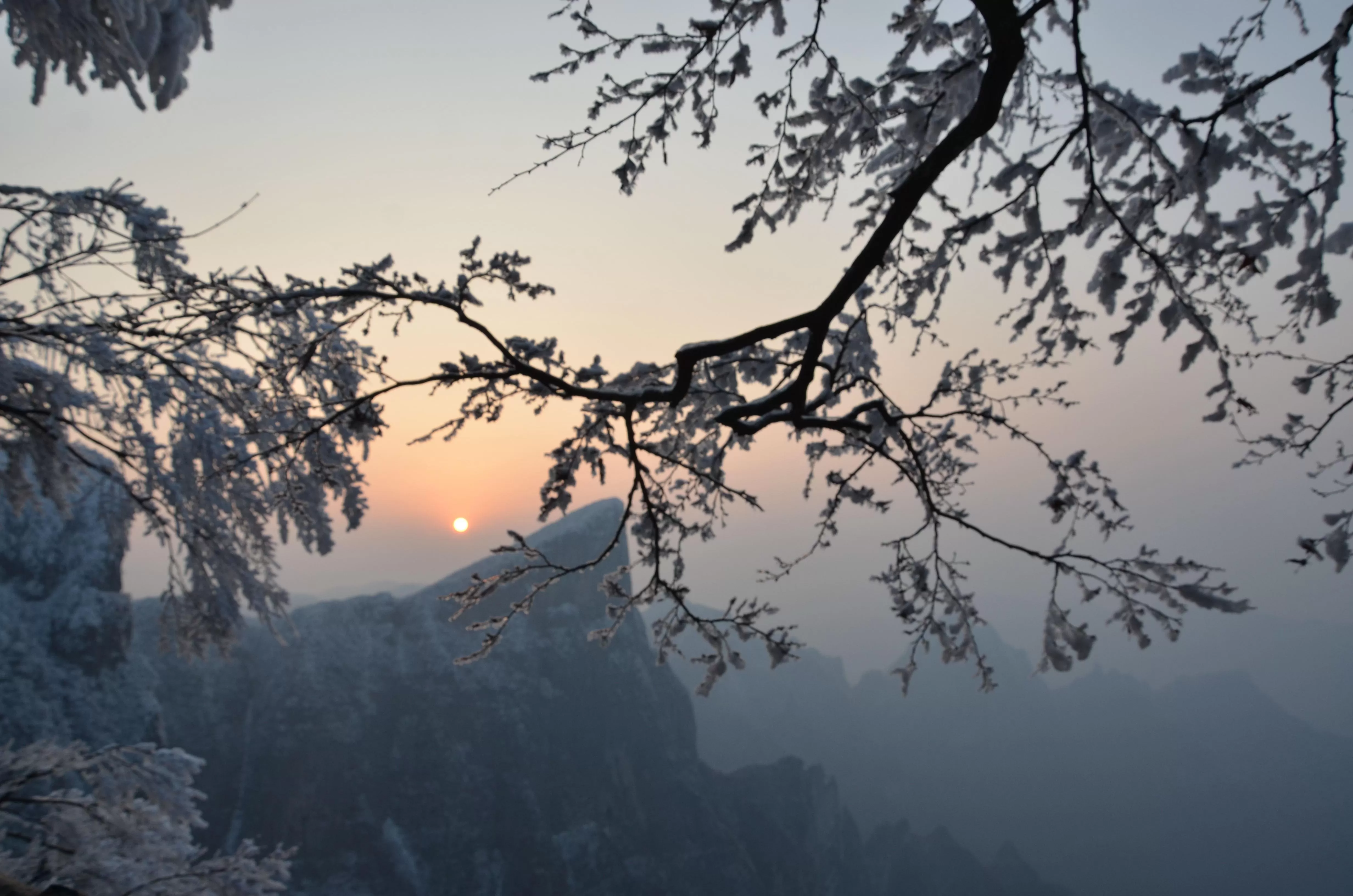 张家界天门山景区雪景(张家界天门山多少钱门票)