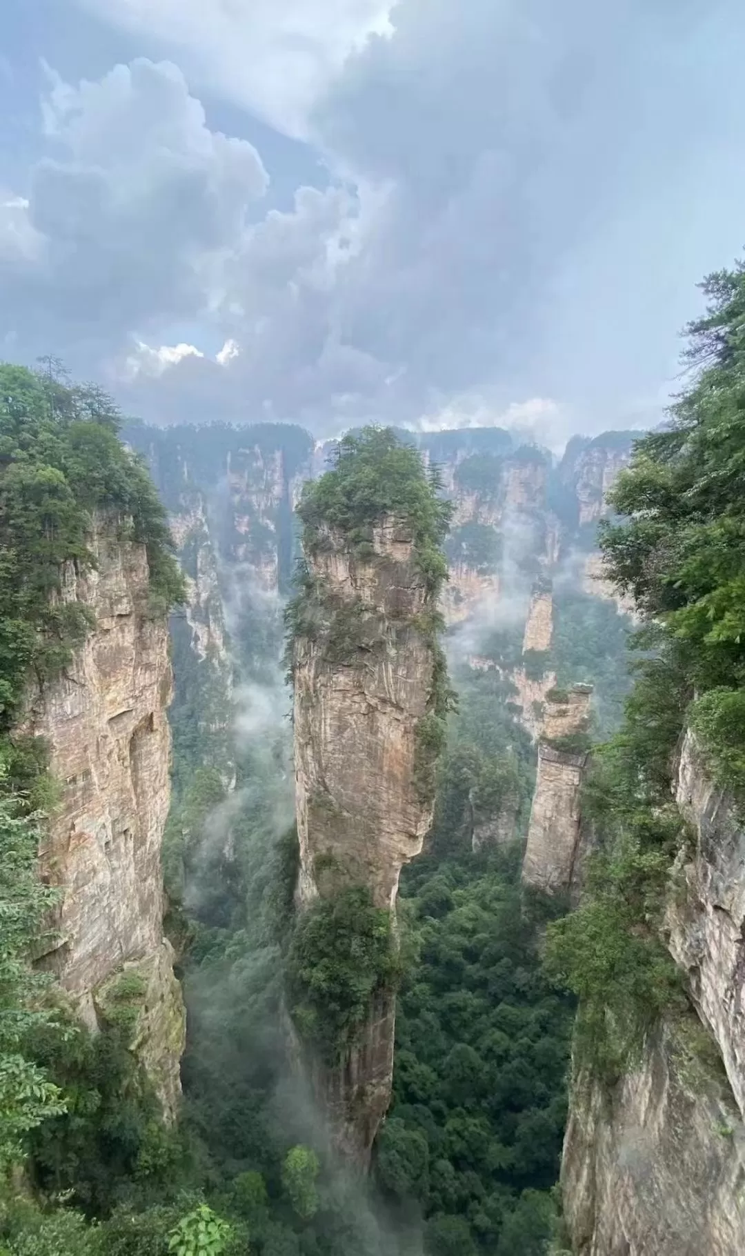 张家界森林公园如何去天门山(张家界森林公园如何去天门山景区)