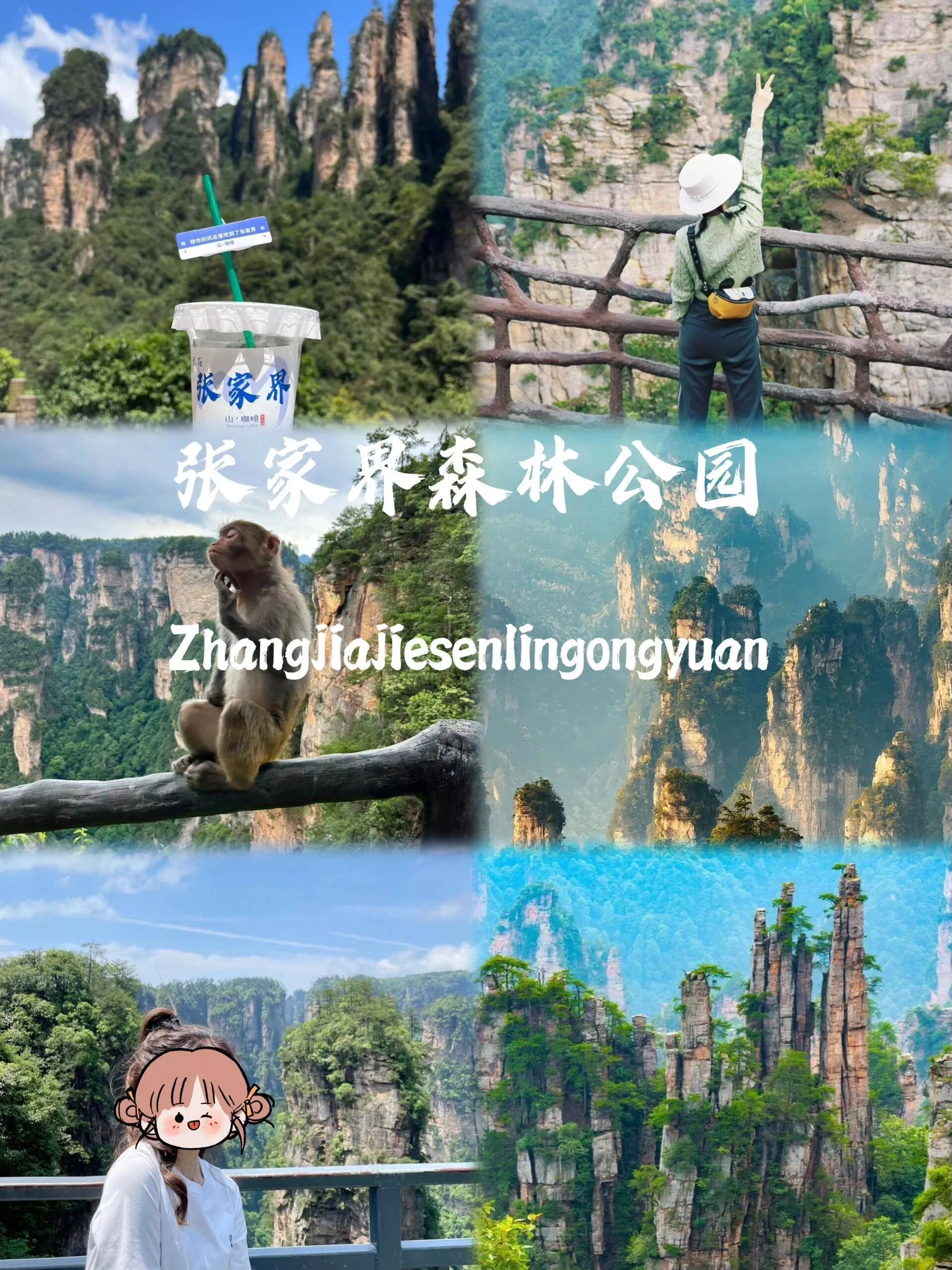 到张家界旅游一次多少钱(去张家界旅游一趟需要多少费用)