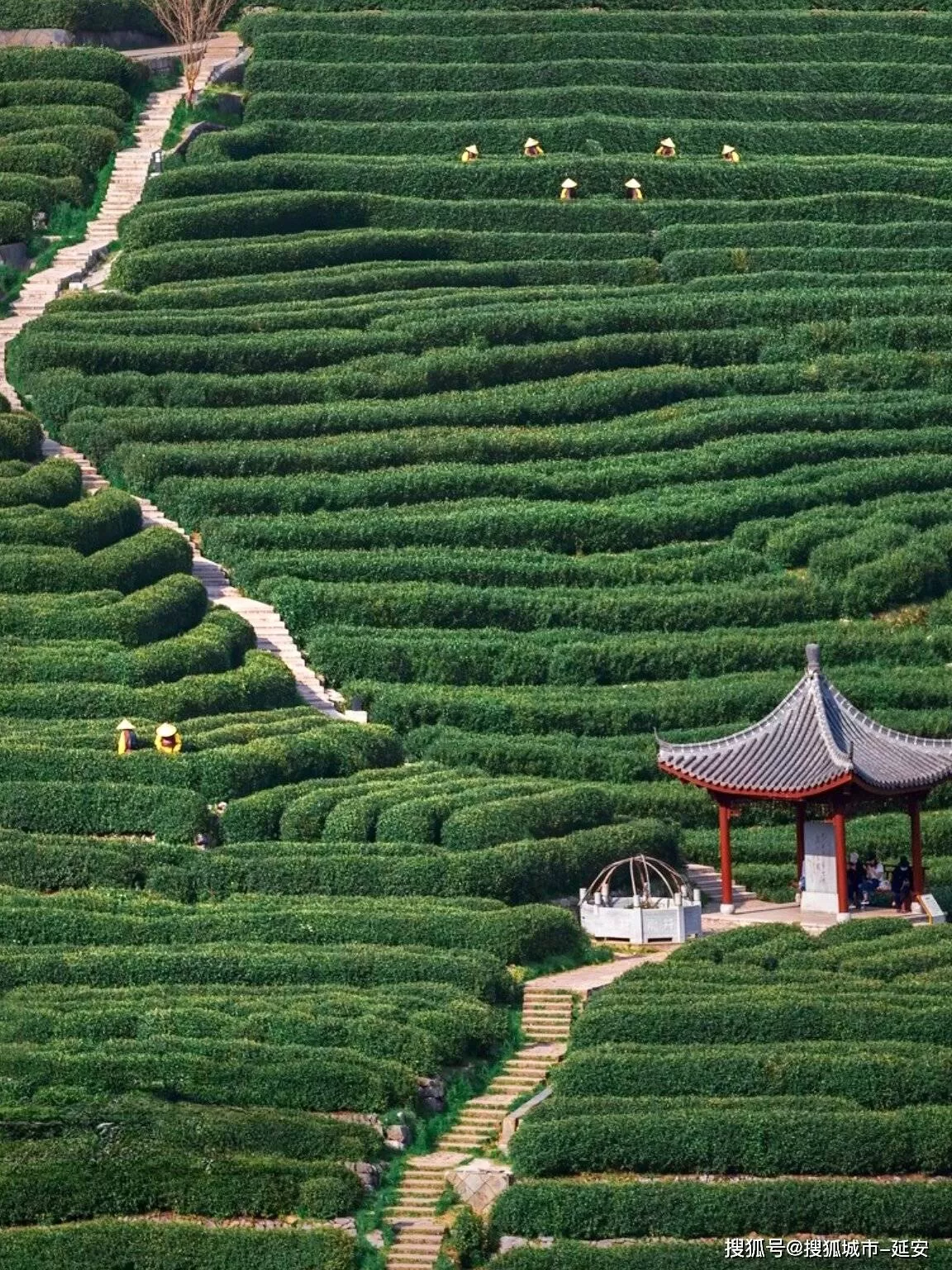 杭州旅游灵隐寺(杭州旅游灵隐寺攻略)