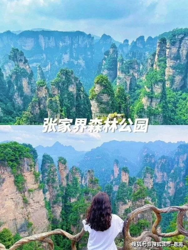 旅游团张家界5日游(旅游团张家界5日游攻略)