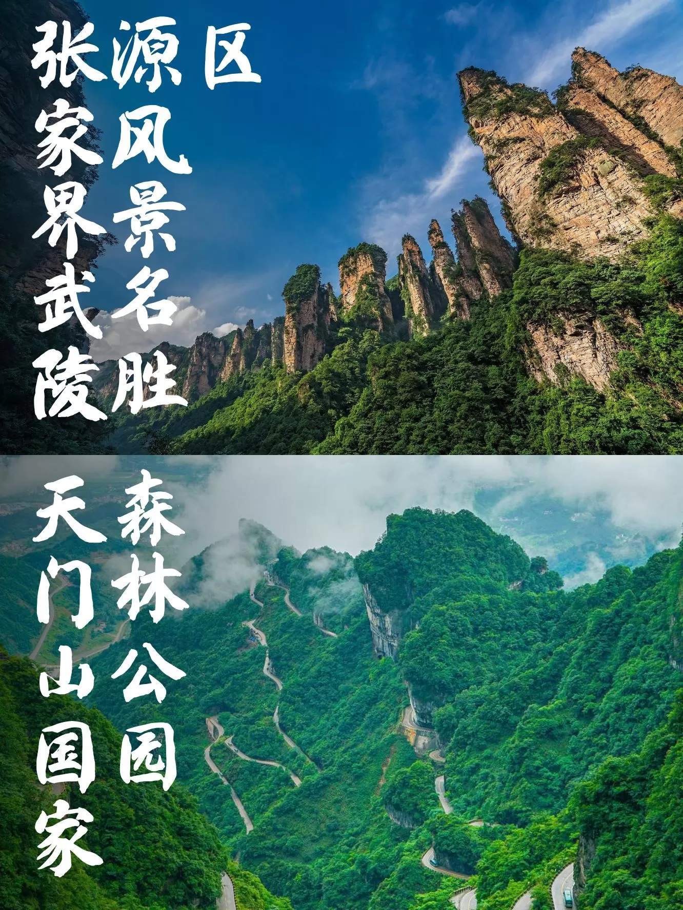 去张家界天门山的最佳路线(去张家界天门山的最佳路线是)