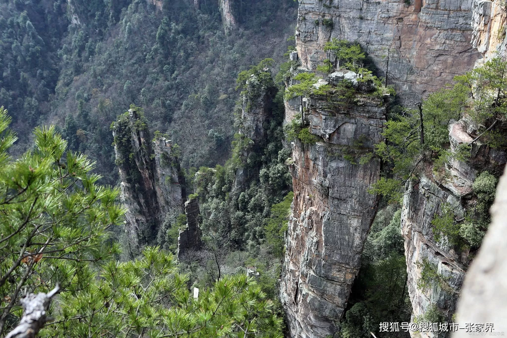 旅游景区张家界天门山(张家界天门山景区旅游攻略)