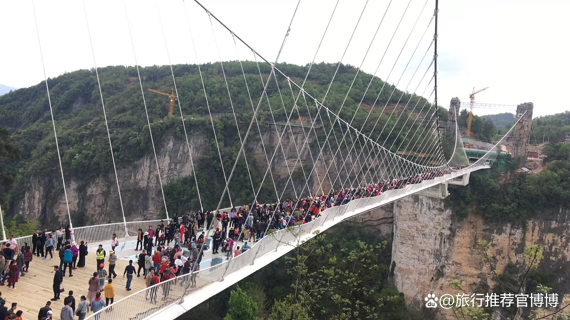 去张家界旅游三天自由行攻略(去张家界旅游三天自由行攻略图)