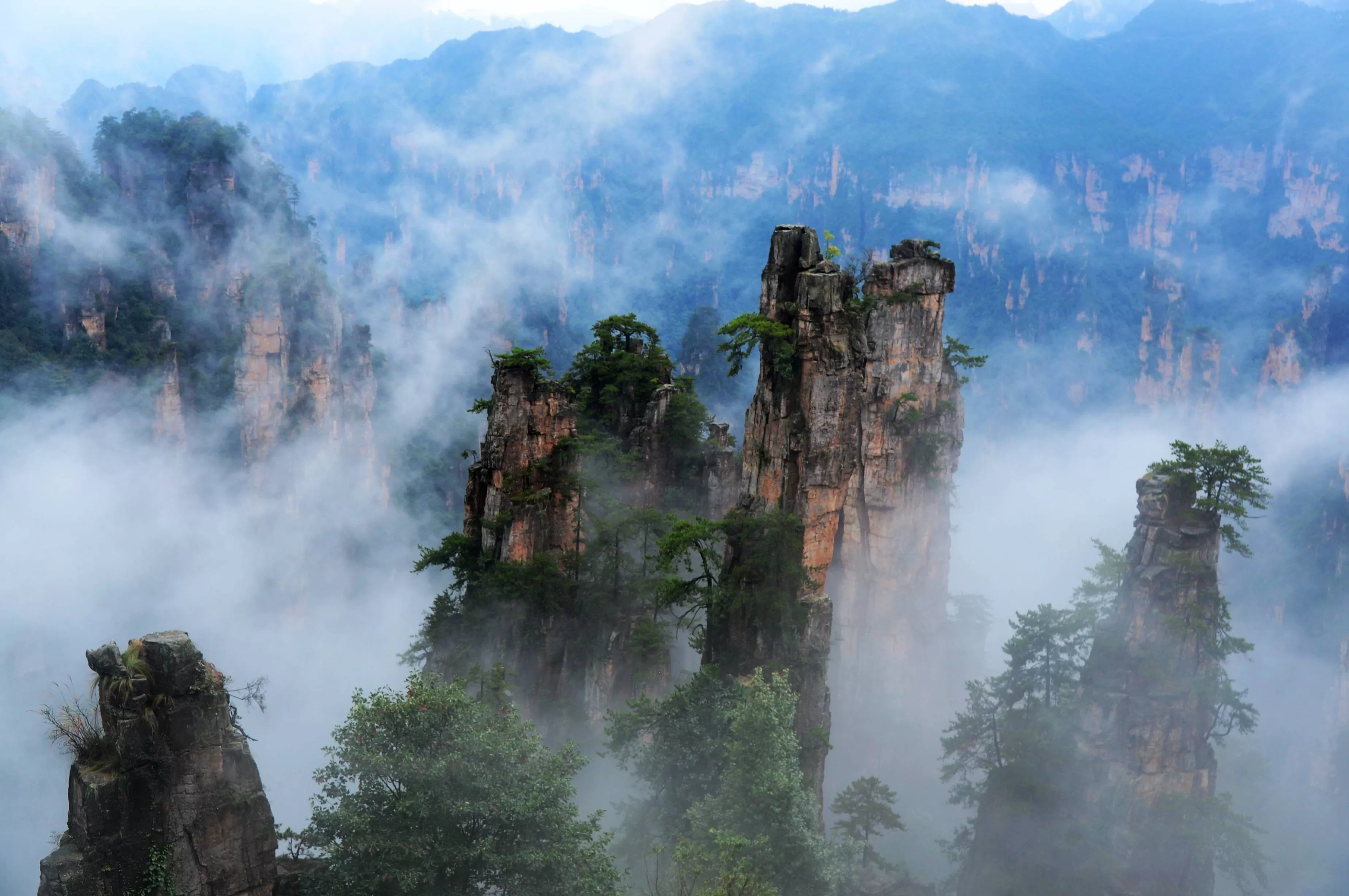 张家界旅游要(张家界旅游要几天时间)