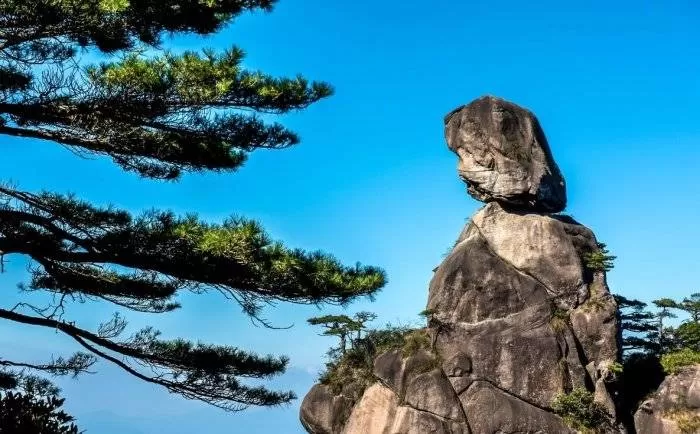 井冈山各景点门票价格(井冈山景区门票包括景点)