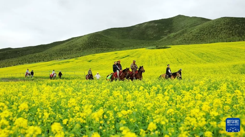 7月份去云南旅游怎么样(7月云南旅游攻略需要准备什么)