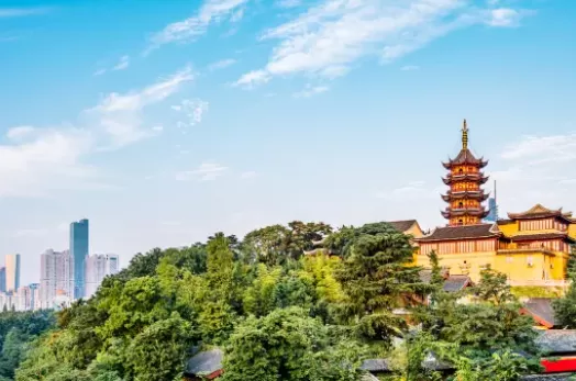 南京旅游一日游(南京旅游一日游旅游团)