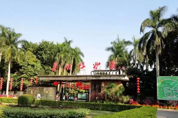 广州附近免费景点(广州附近免费景点有哪些)