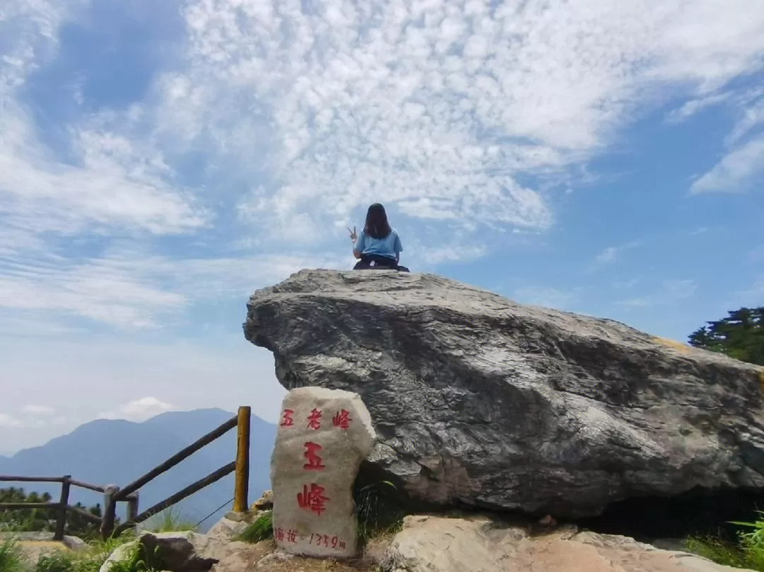 庐山带娃旅游攻略(带孩子去庐山建议怎么玩轻松)