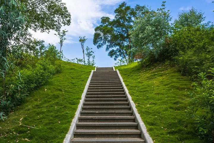 深圳坪山旅游必去十大景点(深圳坪山旅游必去十大景点有哪些)