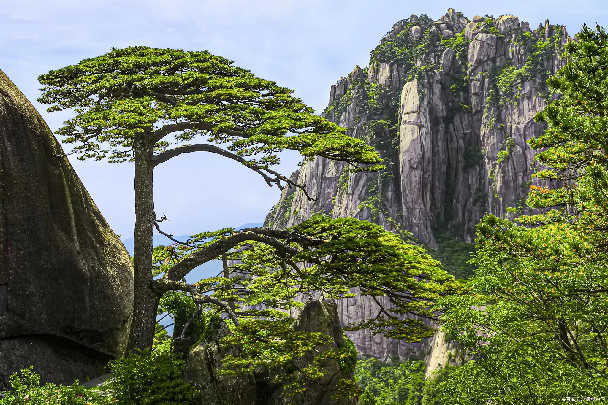 黄山旅游一卡通包括哪些景点(黄山旅游一卡通包括哪些景点呢)