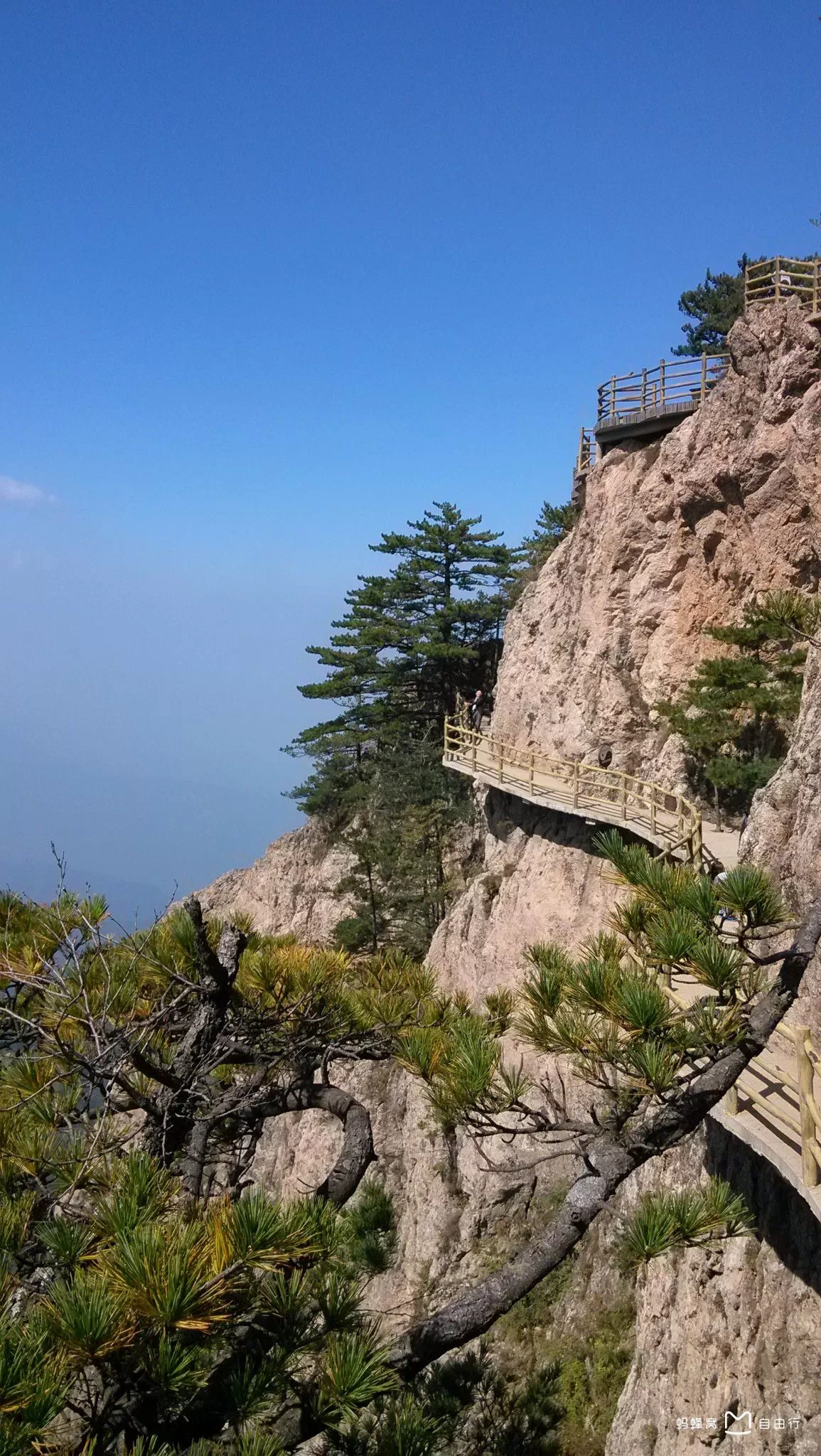 老君山著名景点(老君山著名景点介绍词)