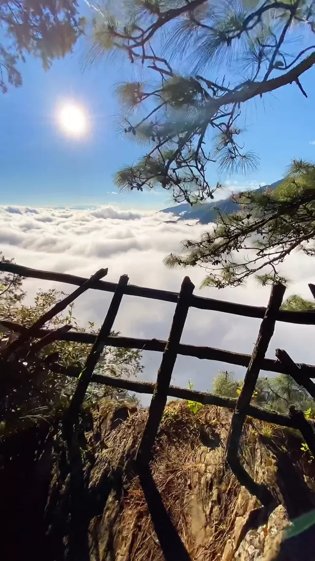 云南哀牢山旅游攻略(哀牢山在云南的什么地方)