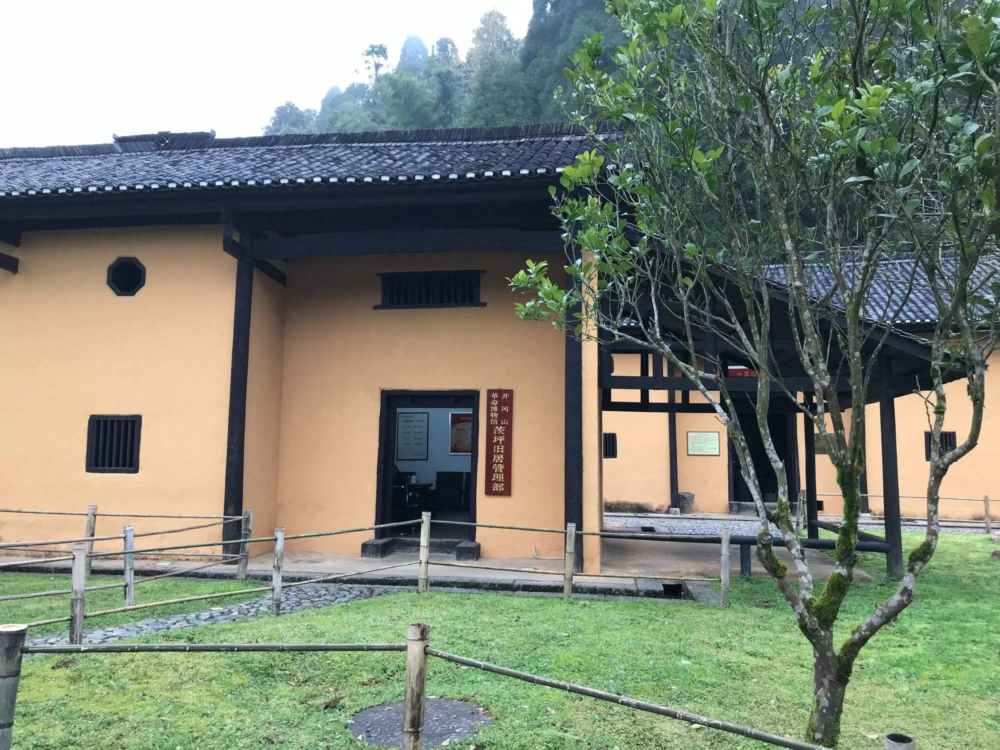 井冈山革命根据地旅游(井冈山革命根据地旅游心得)