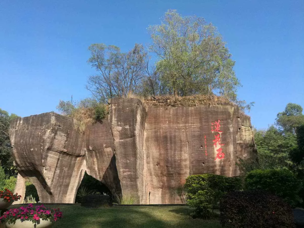 广州一日游必去的地方(广州旅游必去十大景点排名)