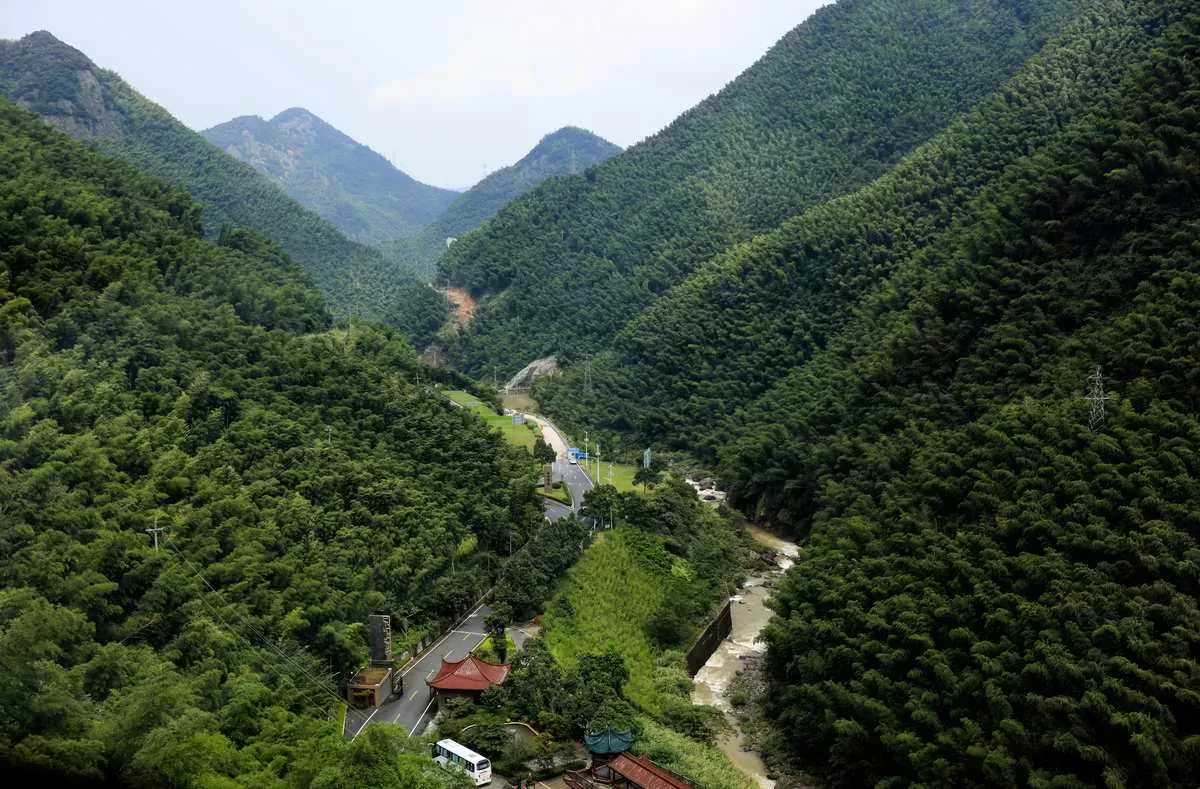 安吉风景区旅游攻略(安吉风景区旅游攻略路线)