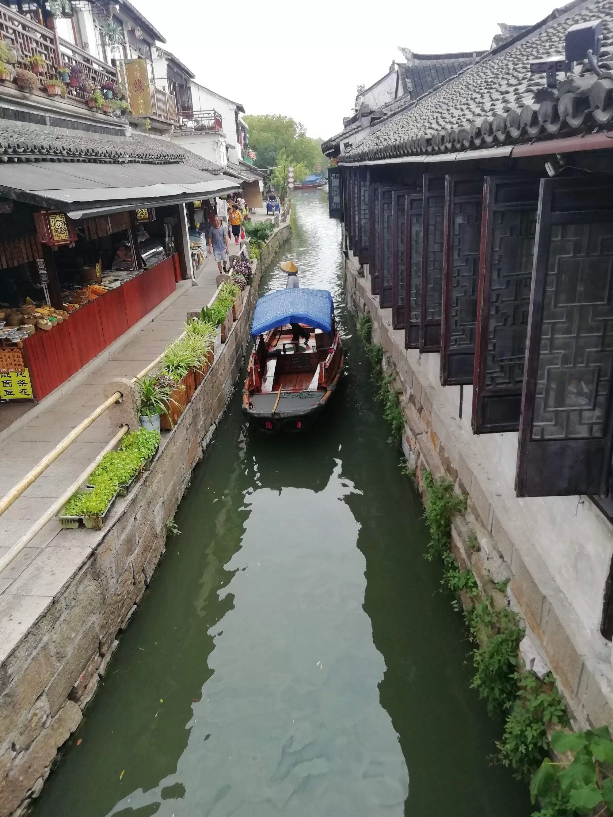 苏州半天游(苏州半天游玩的地方)