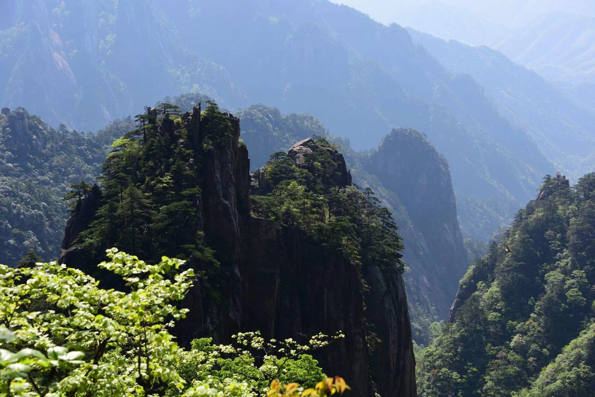 黄山旅游价格(黄山旅游价格表有知道的么)