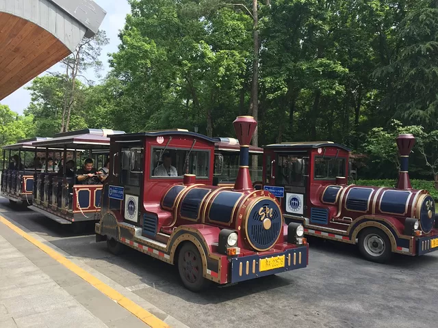 南京旅游观光车(南京旅游观光车价格)