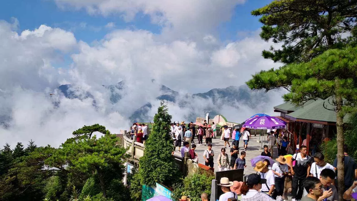 庐山景区怎么玩(庐山景区怎么玩该买哪些票)