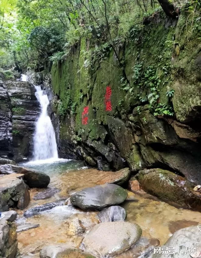 旅游庐山(旅游庐山的感受300字)