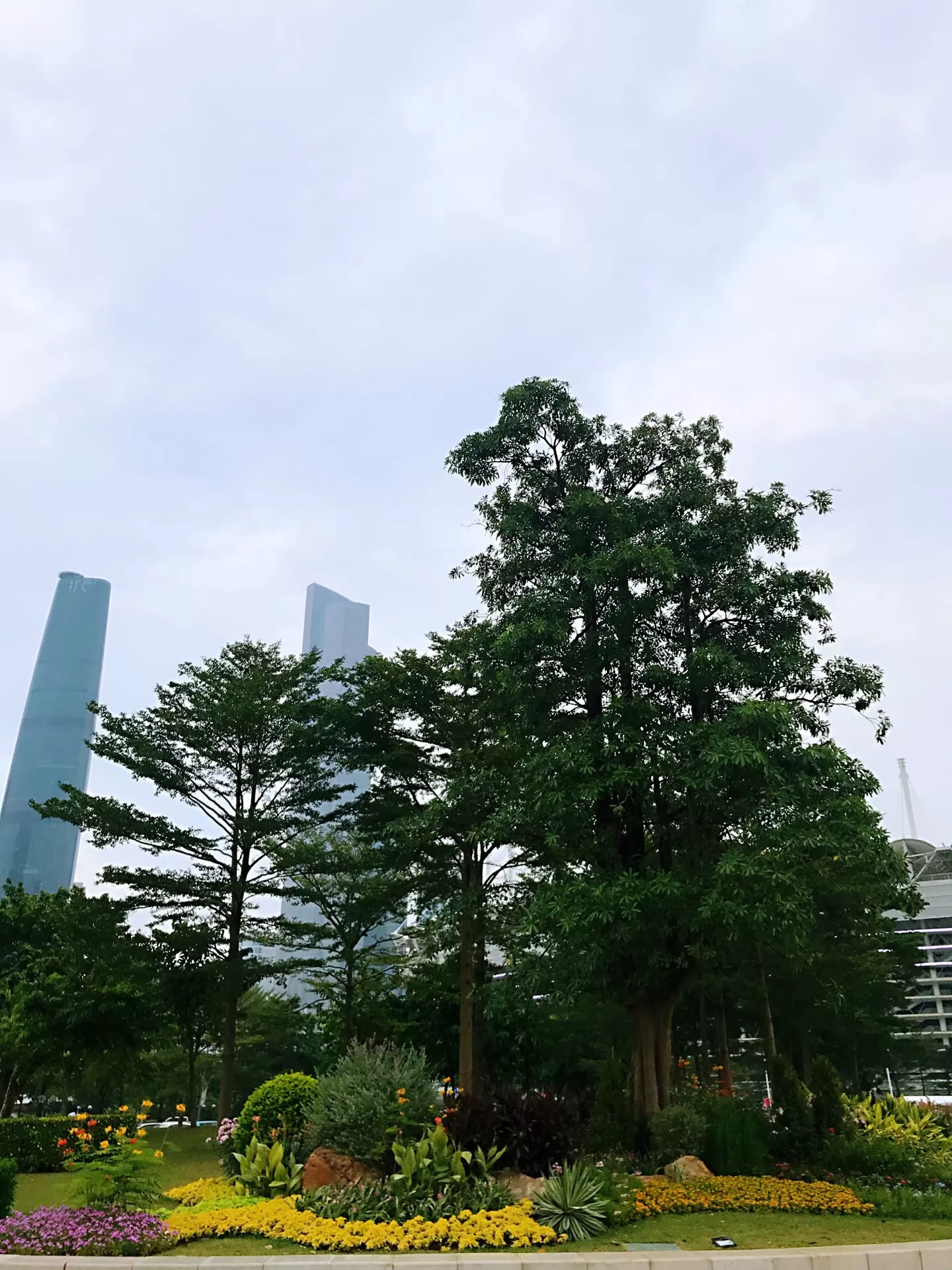 广州二沙岛一日游攻略(广州二沙岛一日游攻略图)