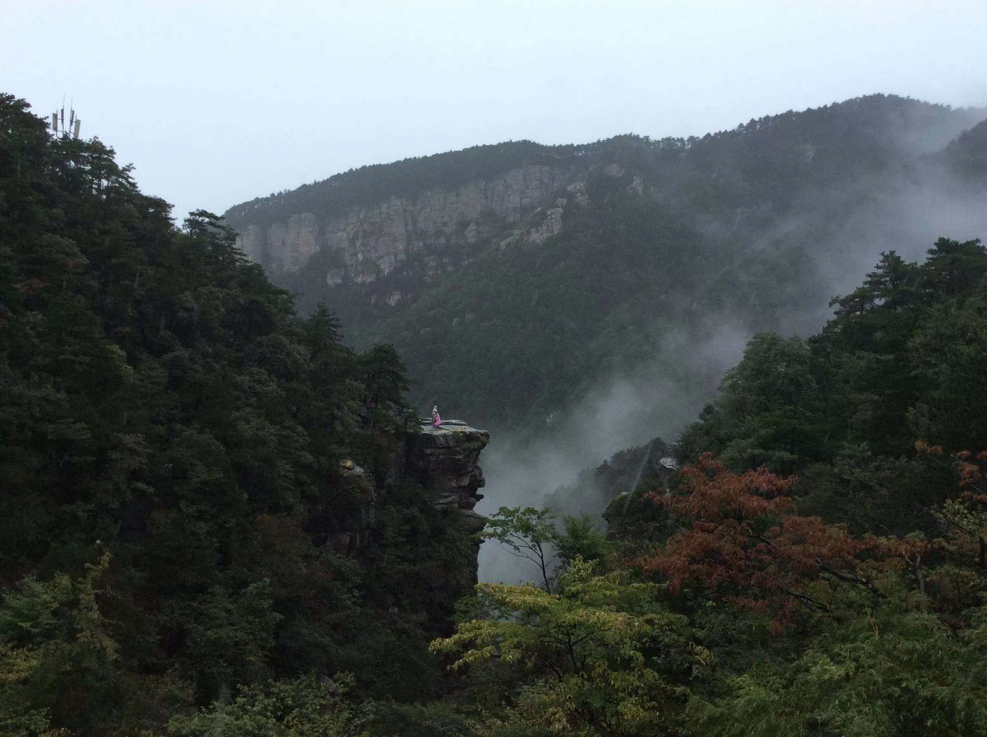 庐山游玩一天够吗(庐山旅游一天时间够吗?)