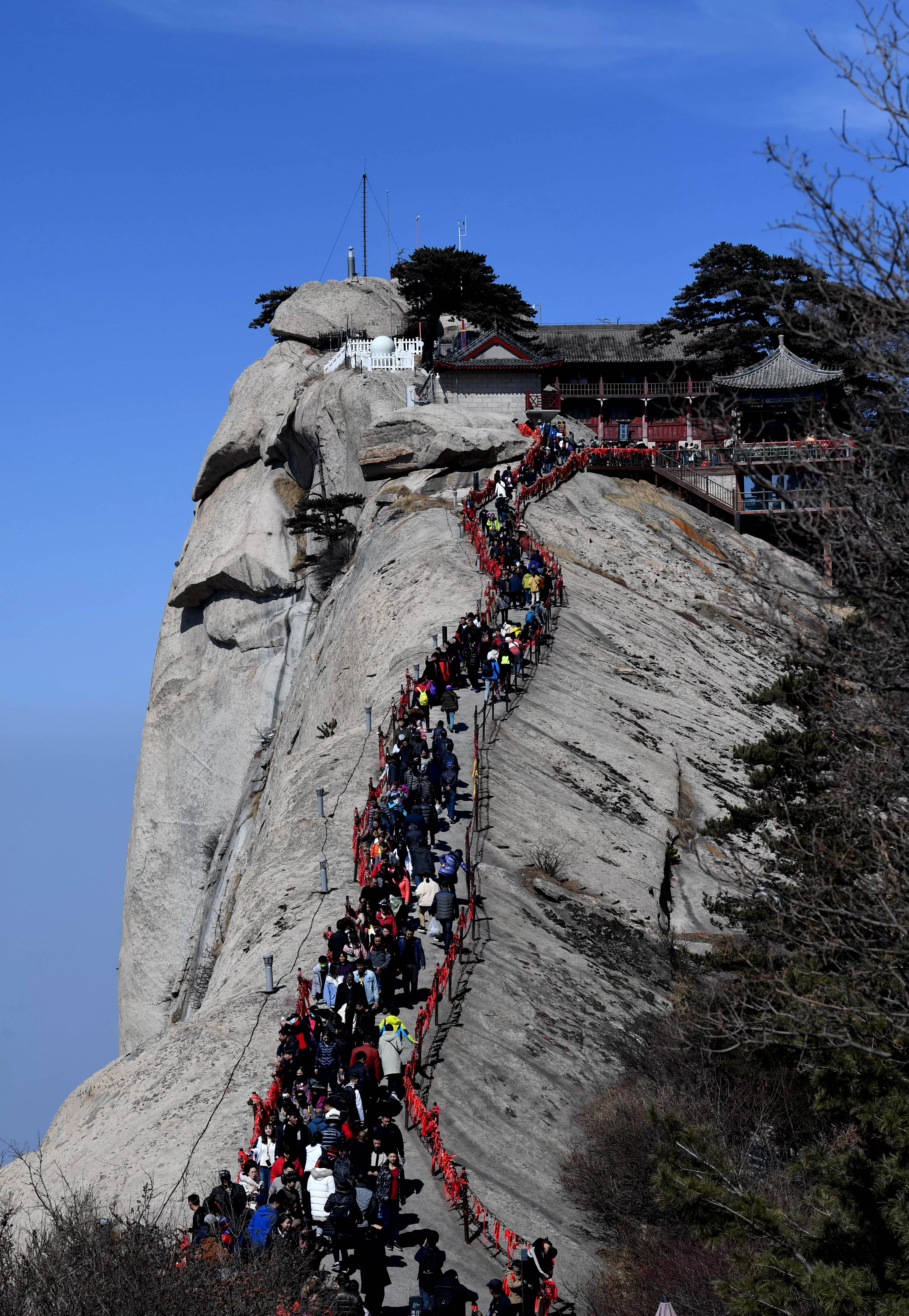 华山旅游景区(华山旅游景区官网门票)