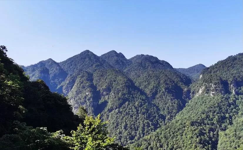 井冈山旅游资源(井冈山旅游资源丰富其特点是什么)