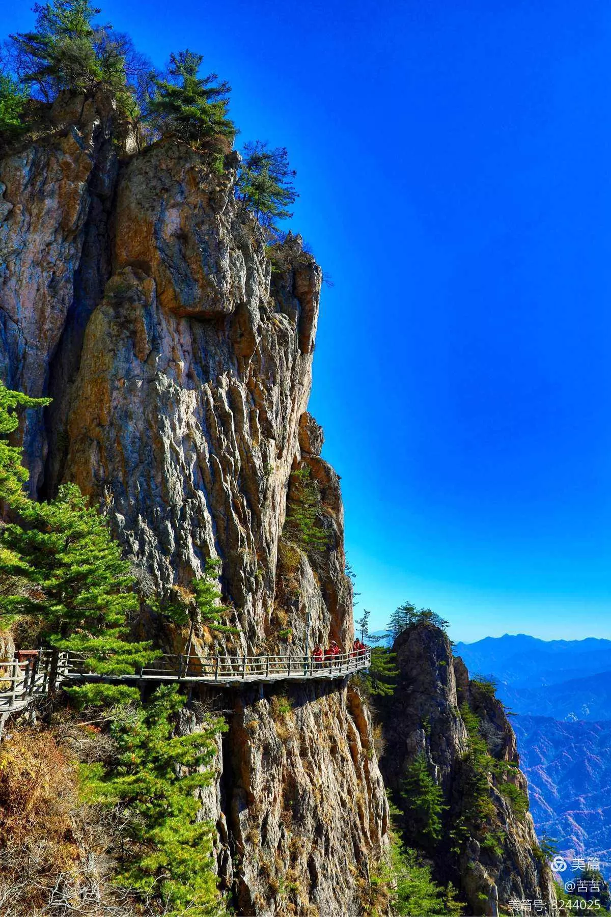 洛阳老君山(洛阳老君山景区)