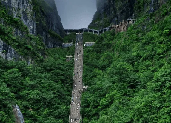 到张家界6天旅游(到张家界6天旅游要多少钱)