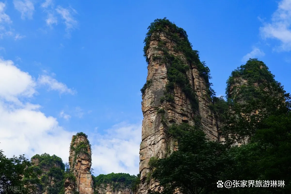 2人游玩张家界(张家界2个人玩大概要多少钱)