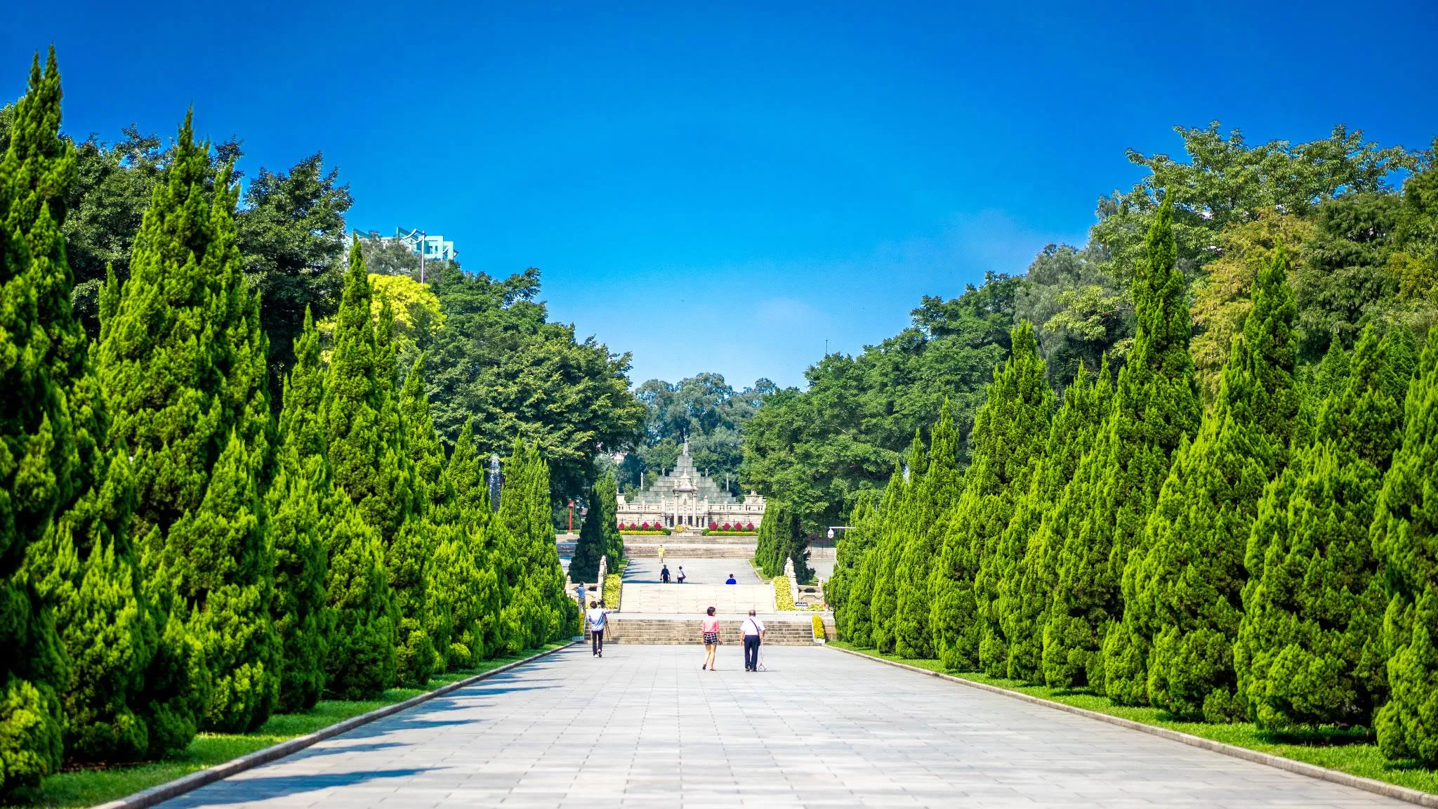 广州旅游必去的十大地方(广州旅游必去的十大地方排名)