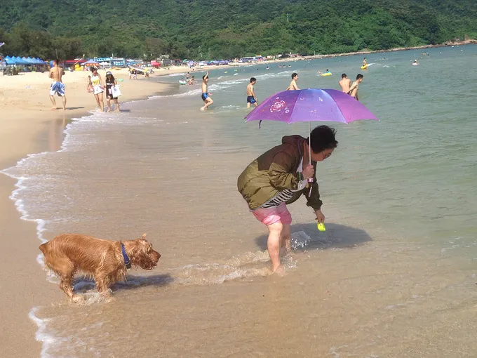 去深圳旅游(去深圳旅游需要带什么必需品)