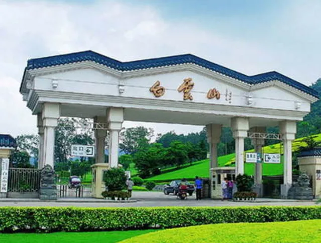 广州旅游必去的十大地方(广州旅游必去的十大地方排名)