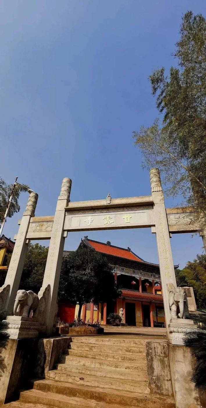 江西共青城旅游景点(江西共青城旅游景点有哪些)