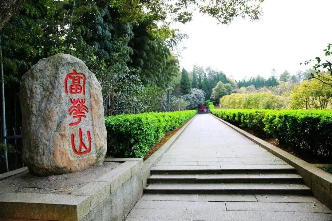 江西共青城旅游景点(江西共青城旅游景点有哪些)