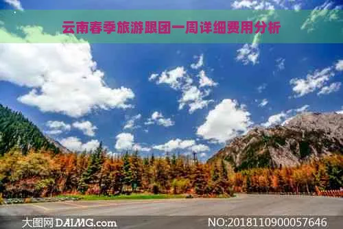 去云南旅游报什么团好(去云南旅游在哪里报团好一点)