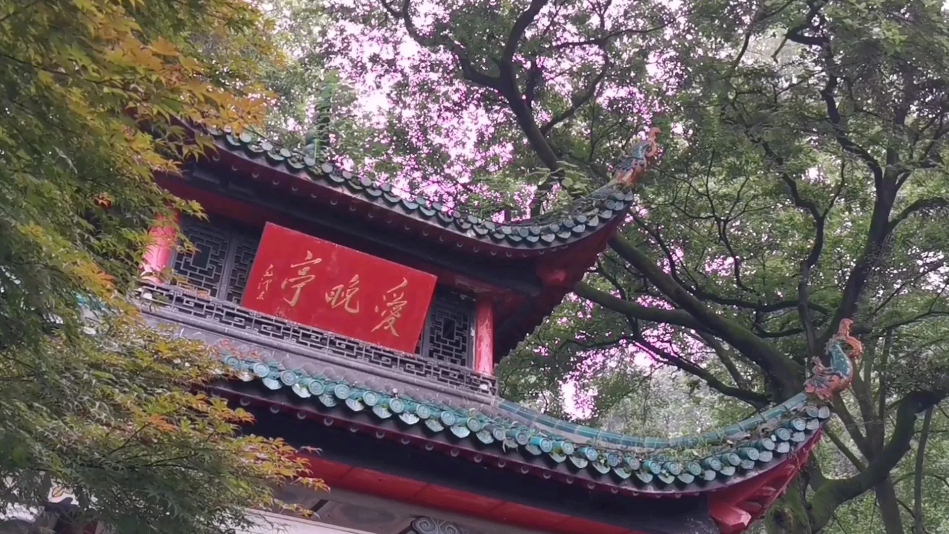 湖南长沙旅游景点(湖南长沙旅游景点图片大全)