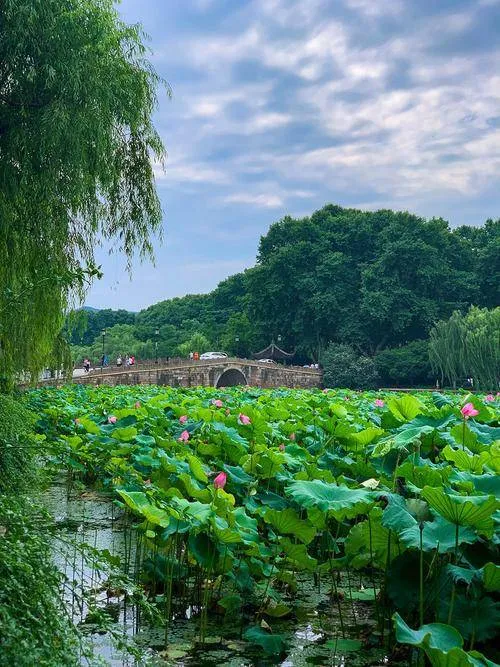 杭州旅游攻略一日游路线推荐(杭州旅游攻略一日游路线推荐图)