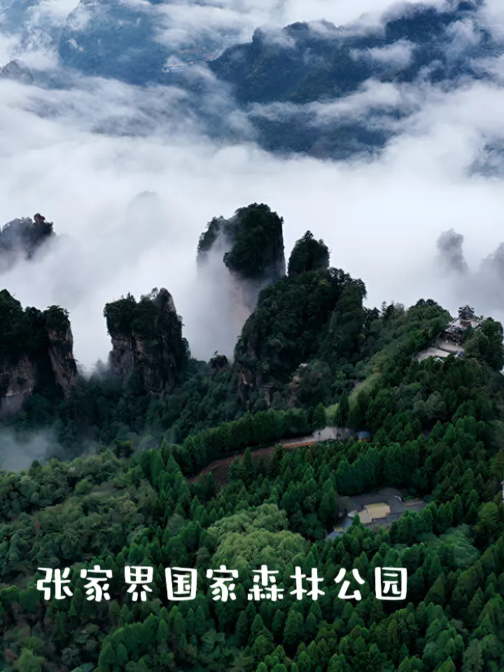 张家界张家界三天旅游(张家界旅游攻略自由行三天多少钱)