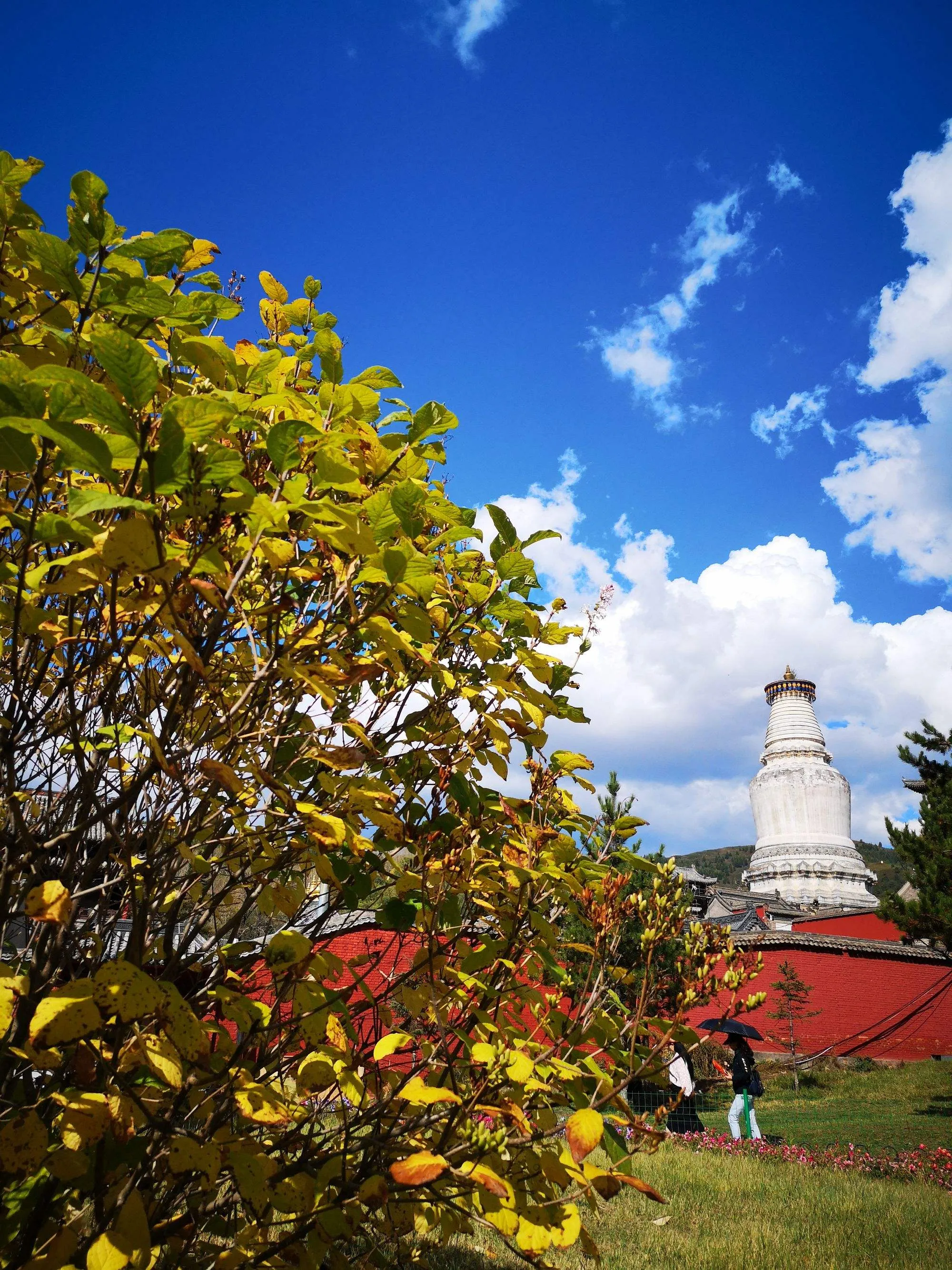 五台山怎么样好玩吗(五台山好玩吗值得去吗)