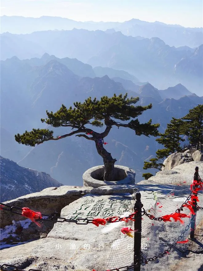 华山旅游景区官网首页(华山旅游景区官网首页查询)
