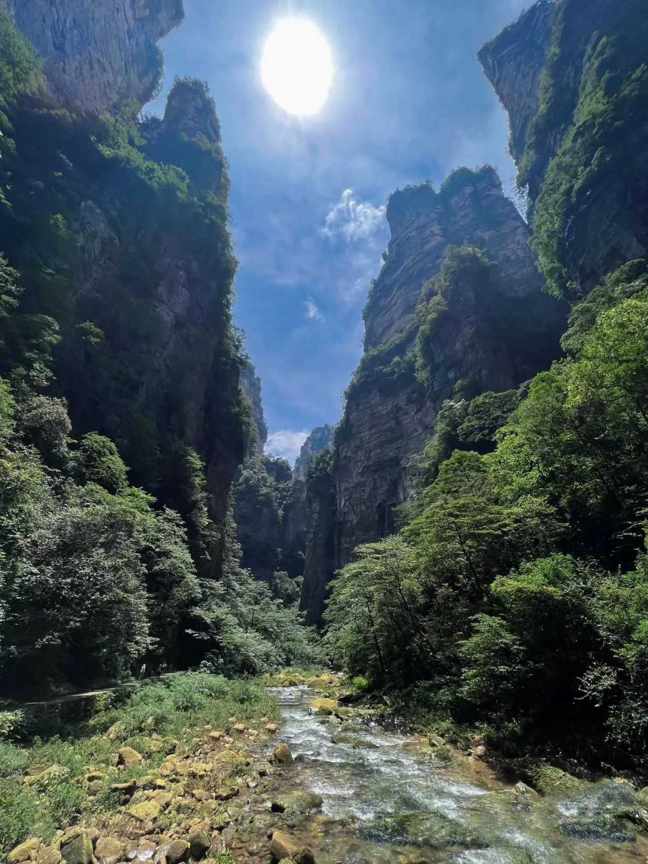 大峡谷张家界旅游攻略(张家界大峡谷几点营业时间)