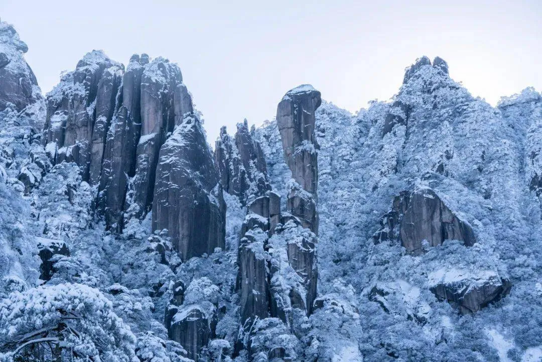 三清山退伍证免门票吗(江西三清山最佳旅游时间)